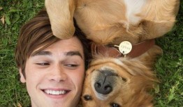 走近科学小狗长大娱乐吃瓜酱,揭秘小狗长大娱乐吃瓜酱背后的秘密